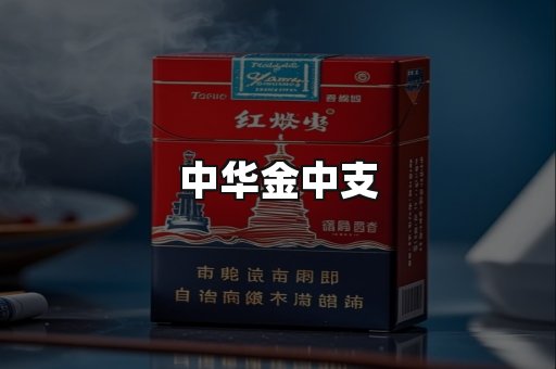 中华金中支